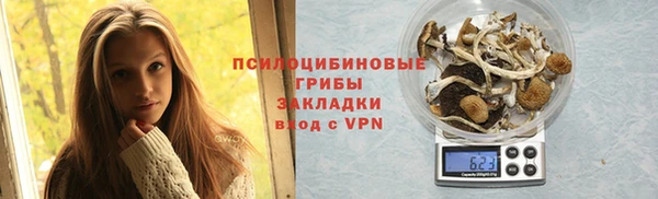амф Алексин