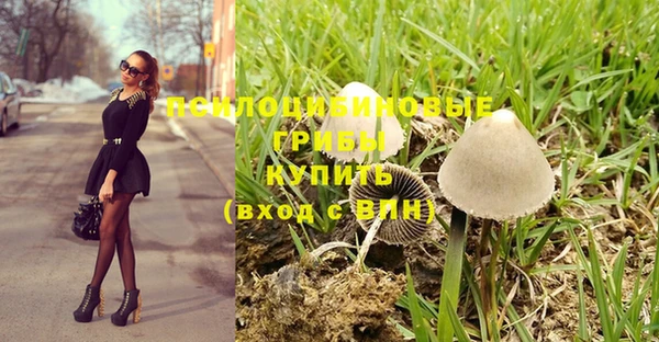 амф Алексин
