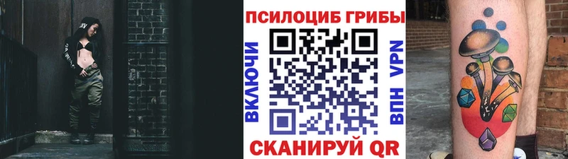Псилоцибиновые грибы прущие грибы hydra как войти Анива